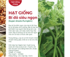 Hạt giống Bí đỏ lấy ngọn