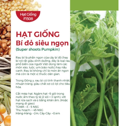 Hạt giống Bí đỏ lấy ngọn