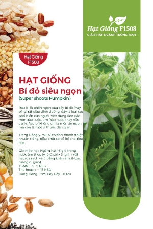 Hạt giống Bí đỏ lấy ngọn