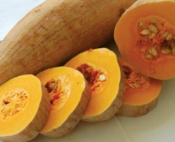 Hạt giống Bí đỏ trái dài - Bí rợ, Bí sáp