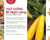 Hạt giống Bí ngồi vàng F1 588AQ
