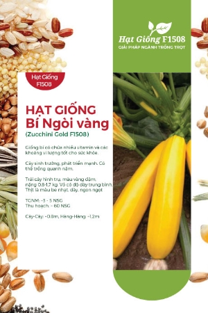 Hạt giống Bí ngồi vàng F1 588AQ