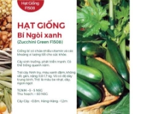 Hạt giống Bí ngồi xanh F1 508