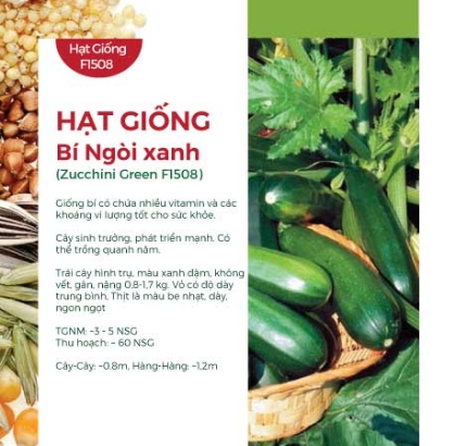 Hạt giống Bí ngồi xanh F1 508