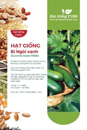 Hạt giống Bí ngồi xanh F1 508