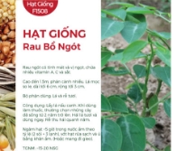 Hạt giống Bồ ngót