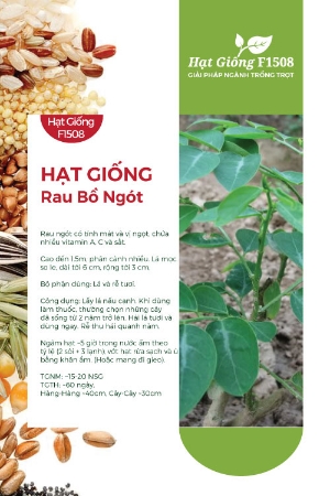 Hạt giống Bồ ngót