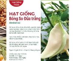 Hạt giống bông so đũa trắng