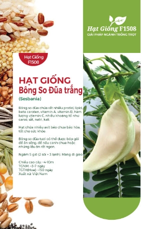 Hạt giống bông so đũa trắng