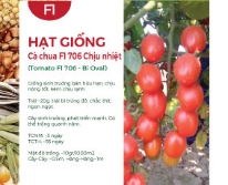 Hạt giống Cà chua chịu nhiệt lai F1 706 - Trái oval
