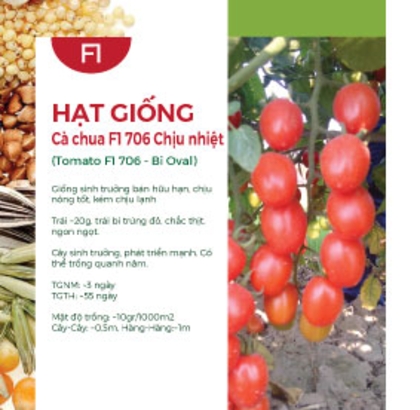 Hạt giống Cà chua chịu nhiệt lai F1 706 - Trái oval