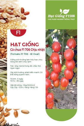 Hạt giống Cà chua chịu nhiệt lai F1 706 - Trái oval