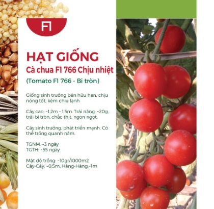 Hạt giống Cà chua chịu nhiệt lai F1 766 - Trái tròn