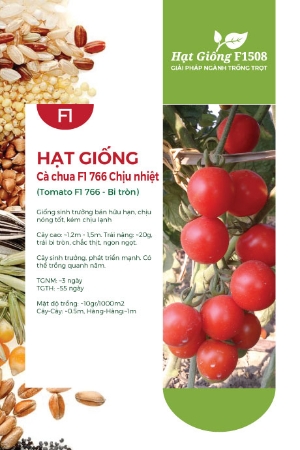 Hạt giống Cà chua chịu nhiệt lai F1 766 - Trái tròn
