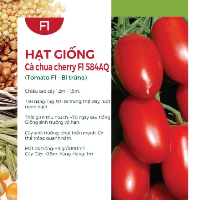 Hạt giống Cà chua cherry đỏ F1 584AQ