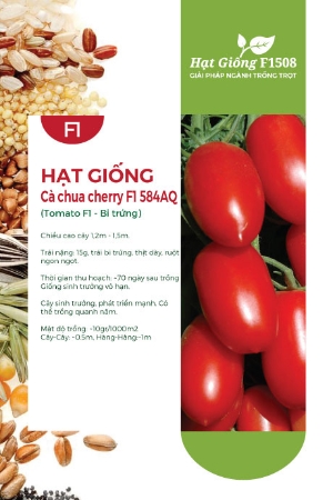 Hạt giống Cà chua cherry đỏ F1 584AQ
