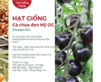 Hạt giống Cà chua đen Mỹ OG