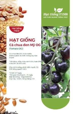 Hạt giống Cà chua đen Mỹ OG