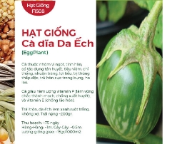 Hạt giống Cà dĩa da ếch