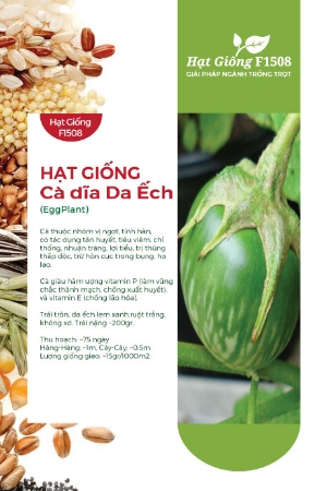 Hạt giống Cà dĩa da ếch