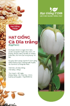 Hạt giống Cà dĩa trắng