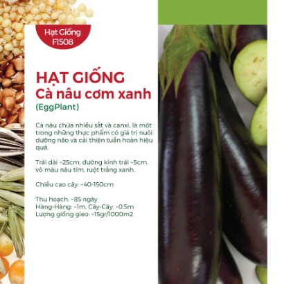 Hạt giống Cà nâu cơm xanh
