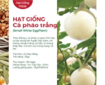 Hạt giống Cà pháo trắng
