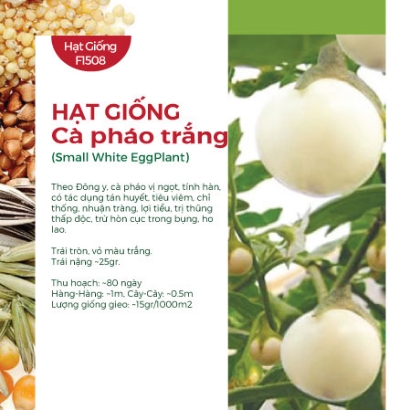 Hạt giống Cà pháo trắng