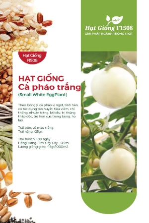 Hạt giống Cà pháo trắng