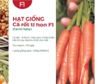 Hạt giống Cà rốt tí hon F1 300AQ