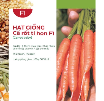 Hạt giống Cà rốt tí hon F1 300AQ