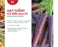 Hạt giống Cà rốt tím F1