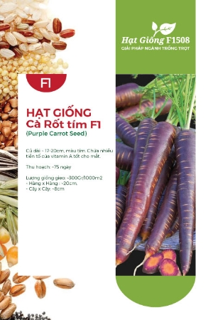 Hạt giống Cà rốt tím F1