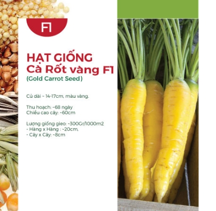 Hạt giống Cà rốt vàng F1
