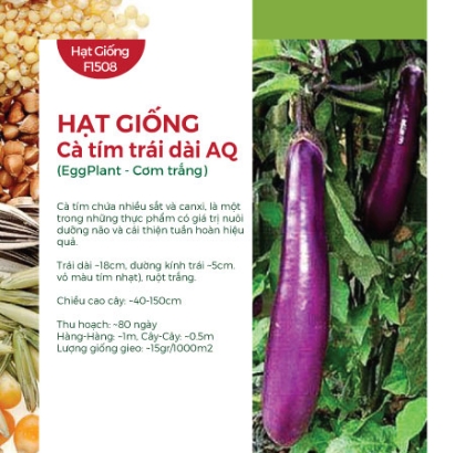 Hạt giống Cà tím trái dài AQ