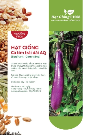 Hạt giống Cà tím trái dài AQ