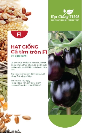 Hạt giống Cà tím tròn F1