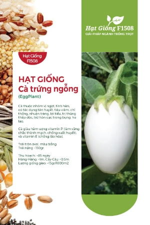 Hạt giống Cà trứng ngỗng