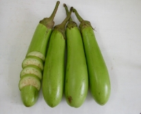 Hạt giống Cà xanh mỡ