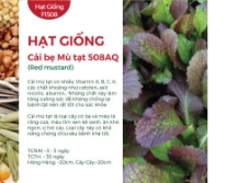 Hạt giống Cải bẹ mù tạt 508AQ