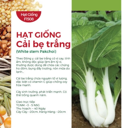 Hạt giống Cải bẹ trắng