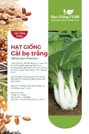 Hạt giống Cải bẹ trắng