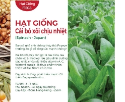 Hạt giống Cải bó xôi chịu nhiệt 532AQ