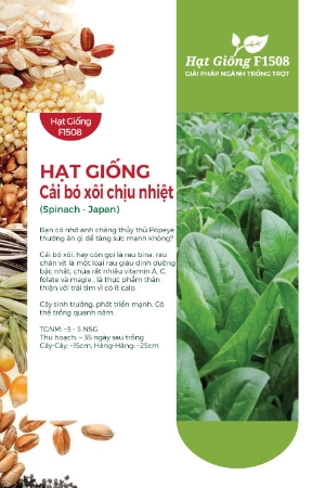Hạt giống Cải bó xôi chịu nhiệt 532AQ