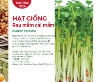 Hạt giống rau mầm Cải mầm 20gr