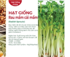 Hạt giống rau mầm Cải mầm 20gr