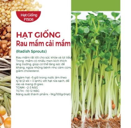 Hạt giống rau mầm Cải mầm 20gr