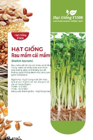 Hạt giống rau mầm Cải mầm 20gr