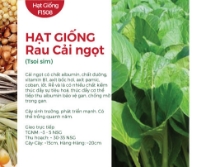 Hạt giống Cải ngọt