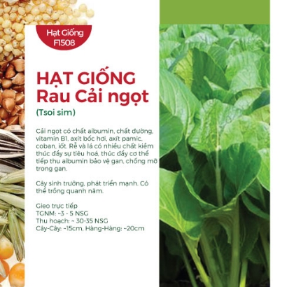 Hạt giống Cải ngọt